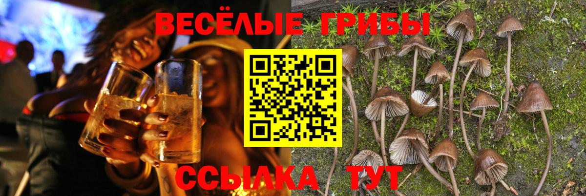 Волгодонск  Псилоцибиновые грибы GOLDEN TEACHER  Псилоцибиновые грибы Magic Shrooms  Вход с VPN 